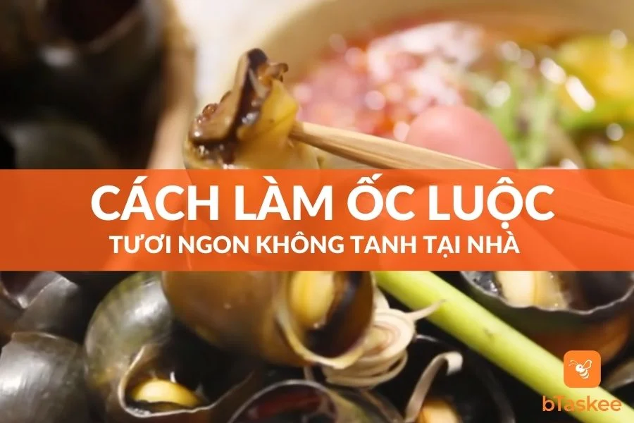 Cách Làm Ốc Luộc Tươi Ngon Không Tanh Tại Nhà