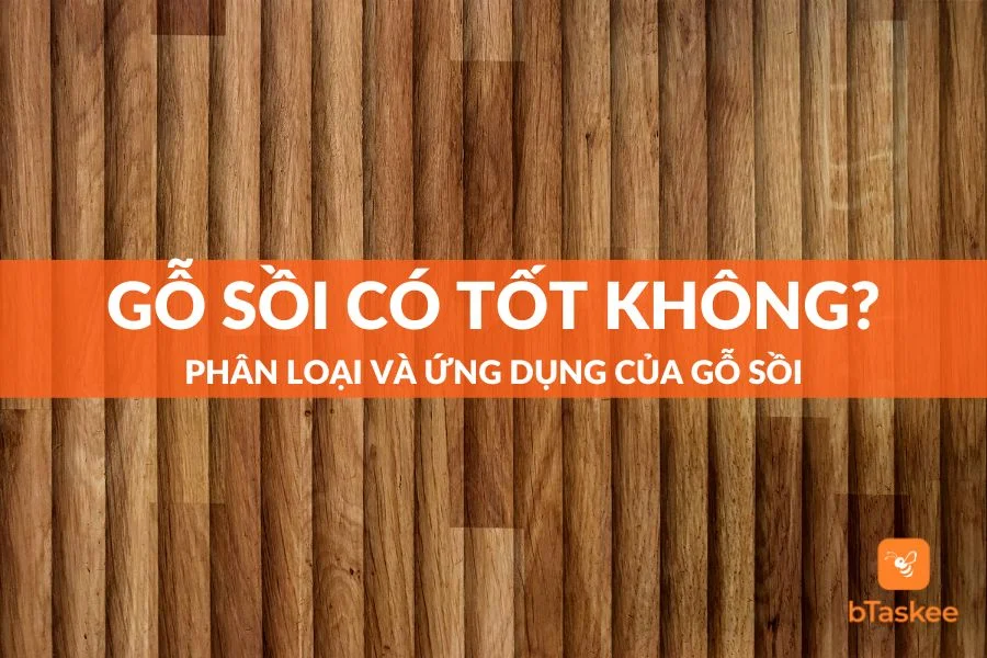 Gỗ Sồi Có Tốt Không? Phân Loại Và Ứng Dụng Của Gỗ Sồi