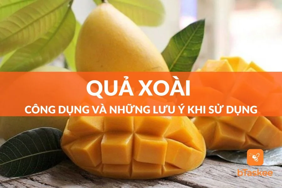 10 Lợi Ích Sức Khỏe Quả Xoài Mang Lại Và Lưu Ý Khi Ăn Xoài