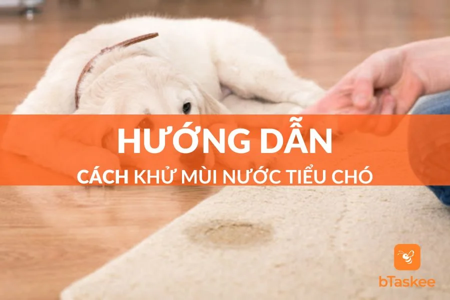 5 Cách Khử Mùi Nước Tiểu Chó Hiệu Quả, Tiết Kiệm Thời Gian