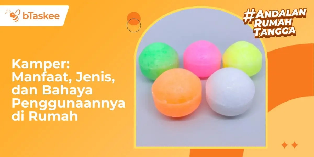 Kamper: Manfaat, Jenis & Bahaya Penggunaannya di Rumah