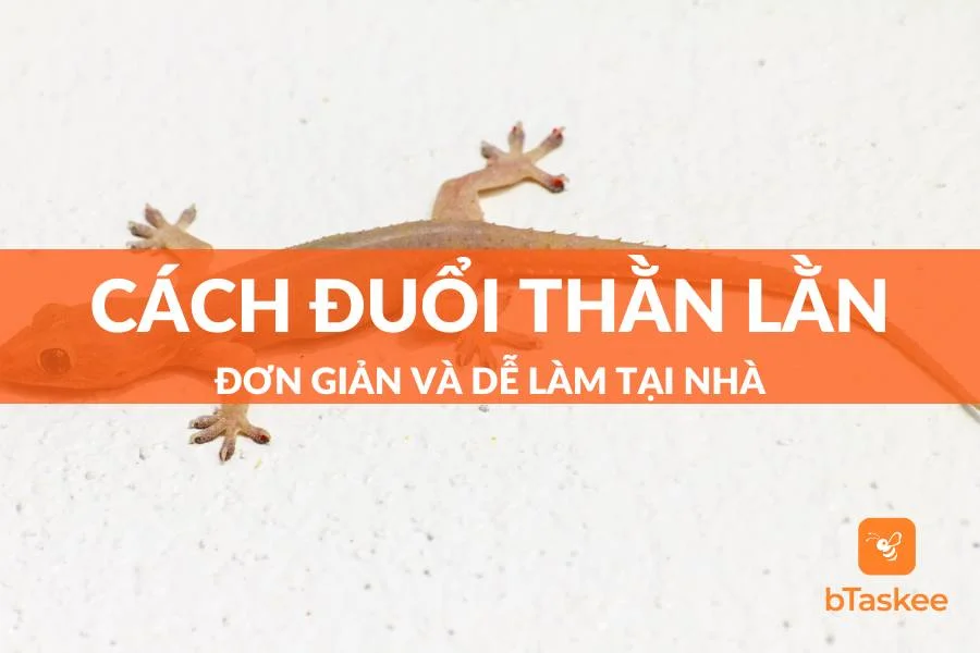 Cách Đuổi Thằn Lằn Khỏi Nhà Đơn Giản Mà Hiệu Quả