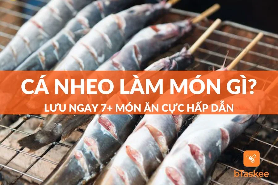 Cá Nheo Làm Món Gì Ngon? Lưu Ngay 7+ Món Ăn Cực Hấp Dẫn