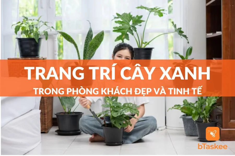Gợi Ý Cách Trang Trí Cây Xanh Trong Phòng Khách Tinh Tế