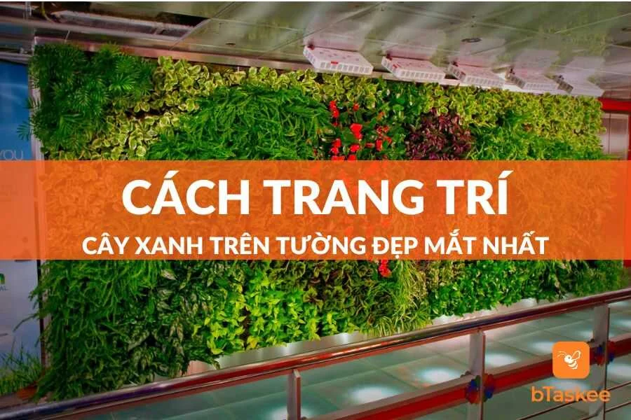 Cách Trang Trí Cây Xanh Trên Tường Đẹp Mắt Nhất