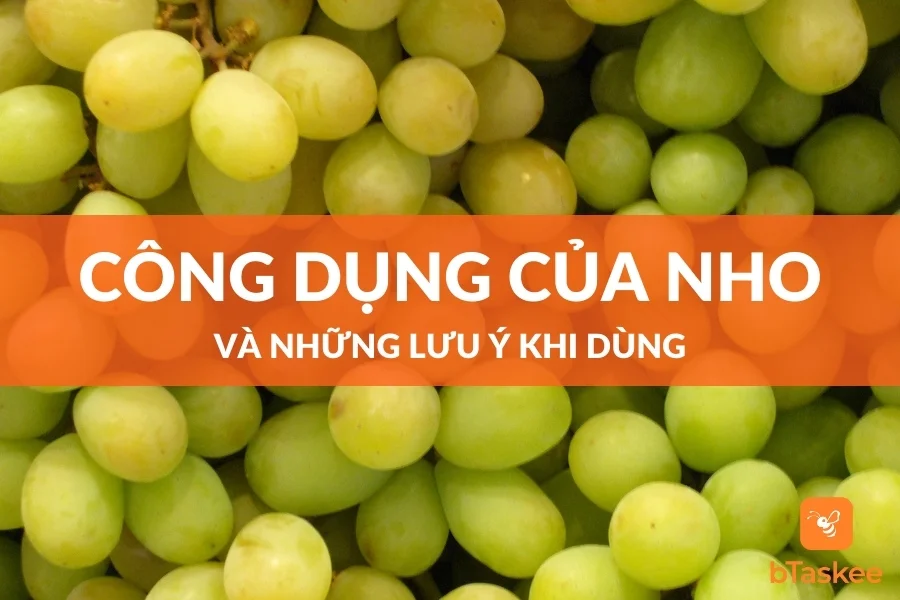 Quả Nho: Công Dụng Và Những Lưu Ý Khi Dùng