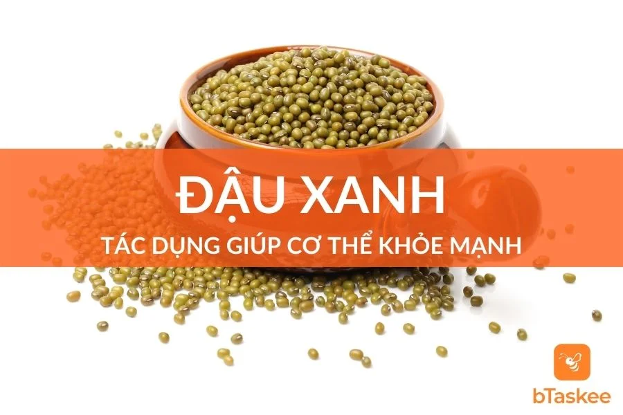 Đậu Xanh Có Tác Dụng Gì Giúp Cơ Thể Khỏe Mạnh?
