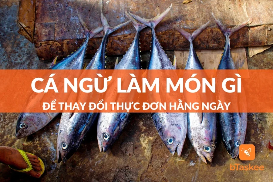 Cá Ngừ Làm Món Gì Ngon? 6+ Món Ngon Từ Cá Ngừ Thơm Ngon Dễ Làm