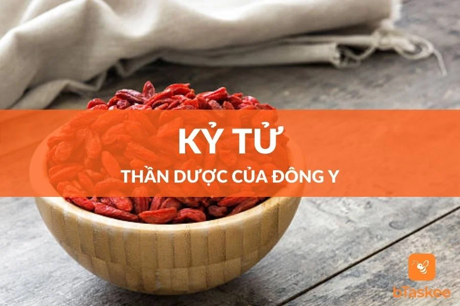 Kỷ Tử Tác Dụng Đối Với Sức Khỏe Và Lưu Ý Khi Dùng Ít Ai Biết