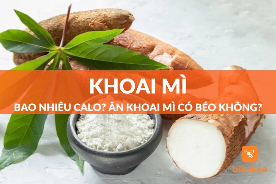 Khoai Mì Bao Nhiêu Calo? Ăn Nhiều Khoai Mì Có Bị Béo Không?