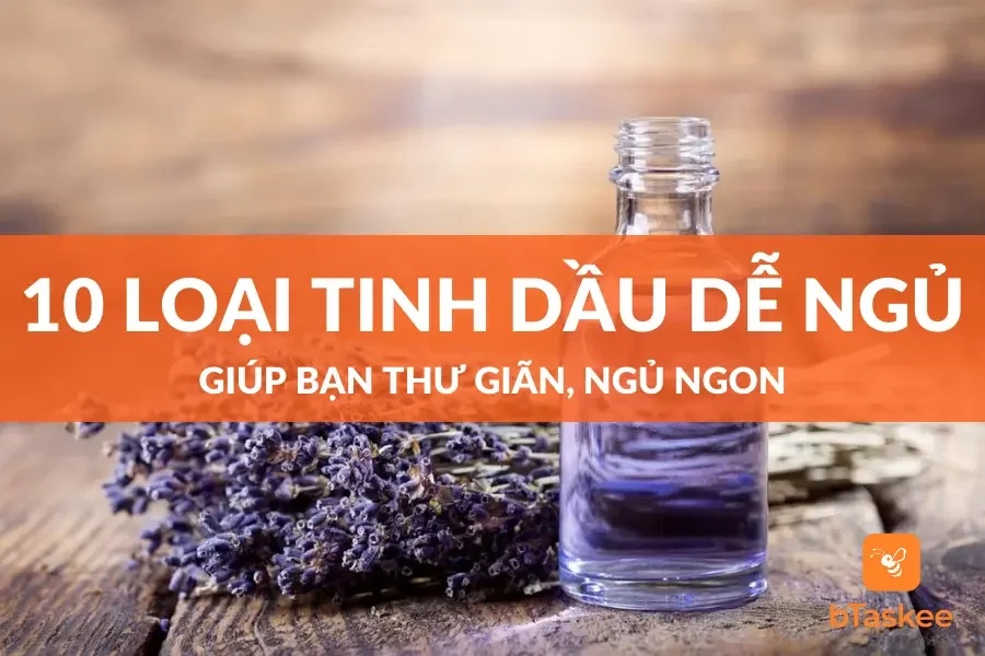 10 Loại Tinh Dầu Dễ Ngủ Giúp Bạn Thư Giãn, Ngủ Ngon