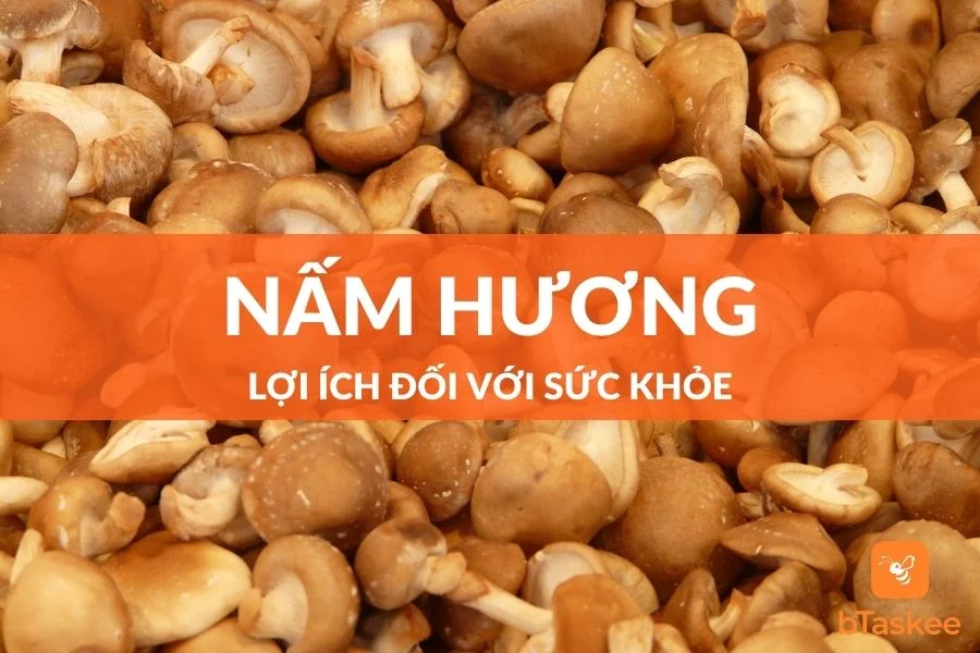Nấm Hương Và Lợi Ích  Đối Với Sức Khỏe