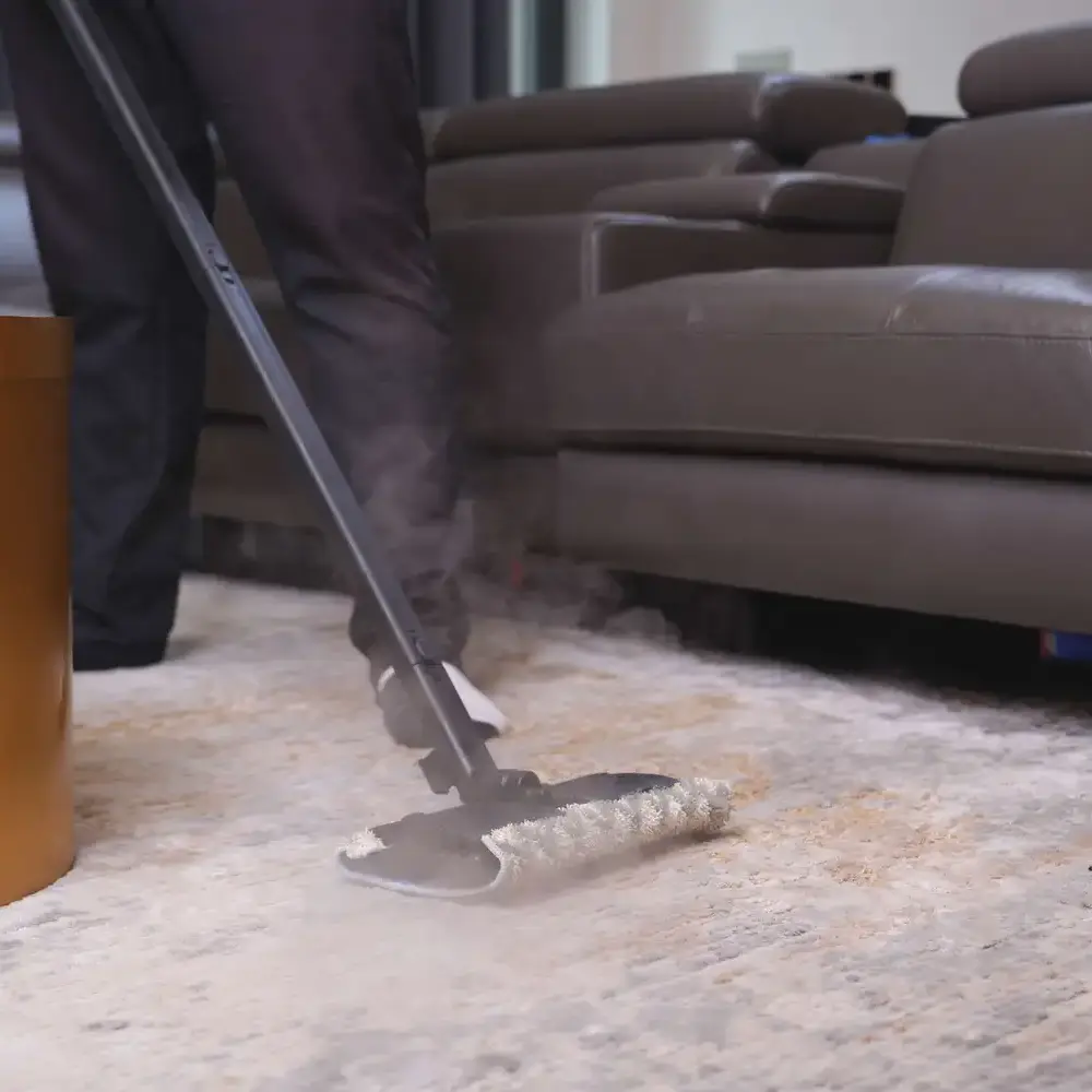 Office Carpet Cleaning Service